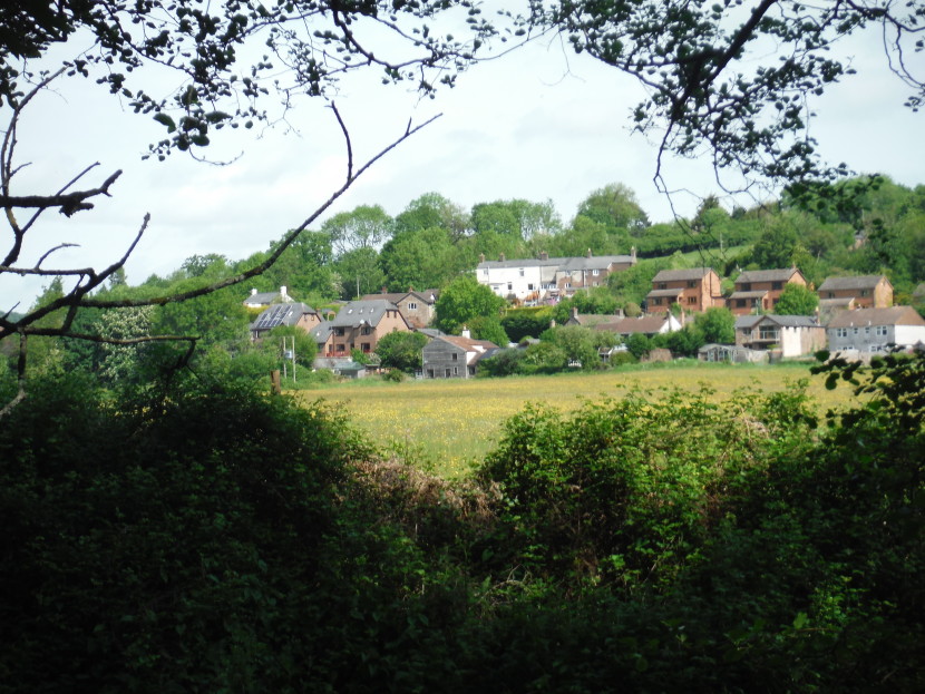 In the valley of Bideford Brook